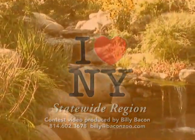 I Love NY contest entry
