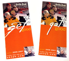 sex good brochure