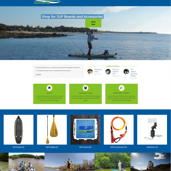 ecommerce web store ecommerce web store