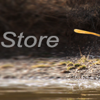 web baner ad web baner ad