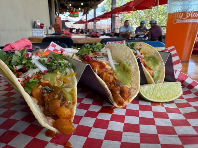 Photo: Environment & Tacos