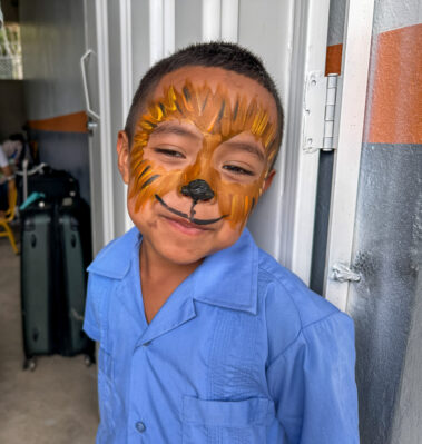 lion face